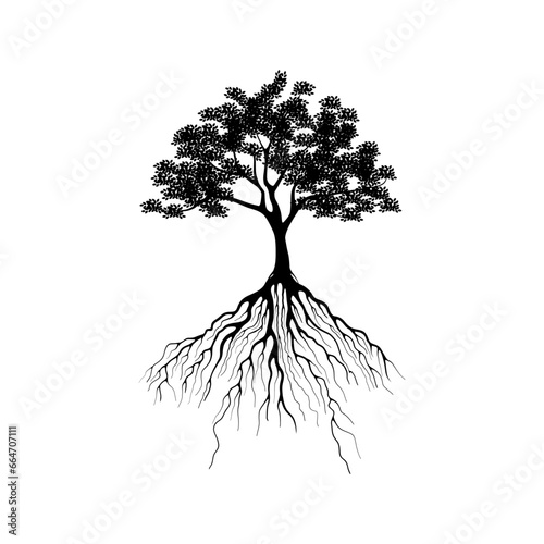 oak tree silhouette isolated on white background
