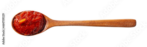 Wooden spoon and tomato sauce on white background.