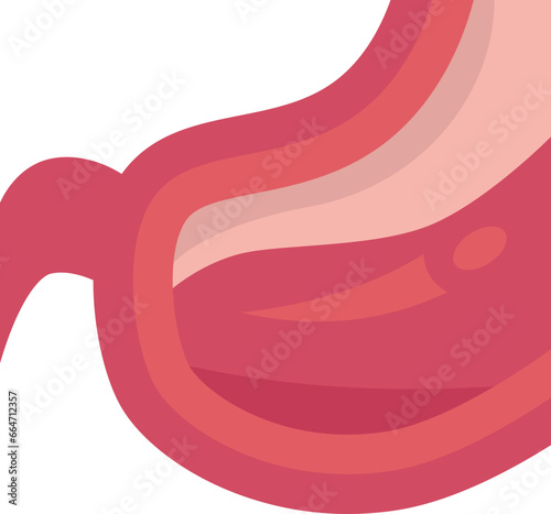 belly  icon