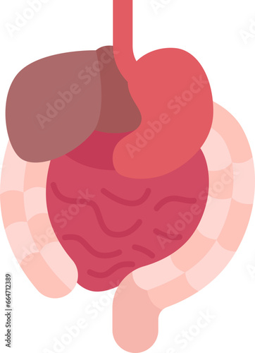 gastrointestinal  icon