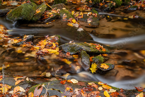 autumn mountain scene © mark