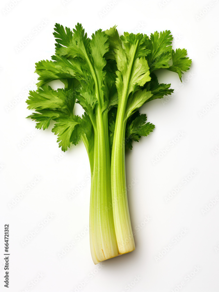 Celery Studio Shot Isolated on Clear Background, Food Photography, Generative AI Celery Studio Shot Isolated on Clear Background, Food Photography, Generative AI