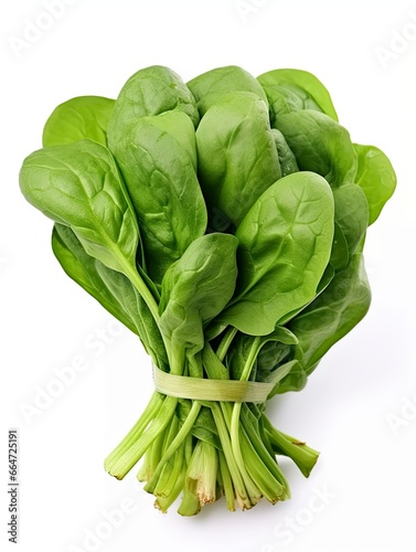 Bunch of spinach isolated on white background.