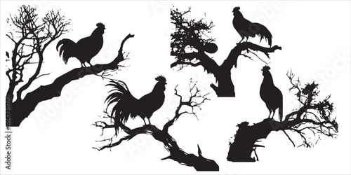 Set of silhouettes of Cock on the tree branches vector illustration photo
