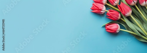 Bouquet of red tulip on blue Background. Top view with copy space.
