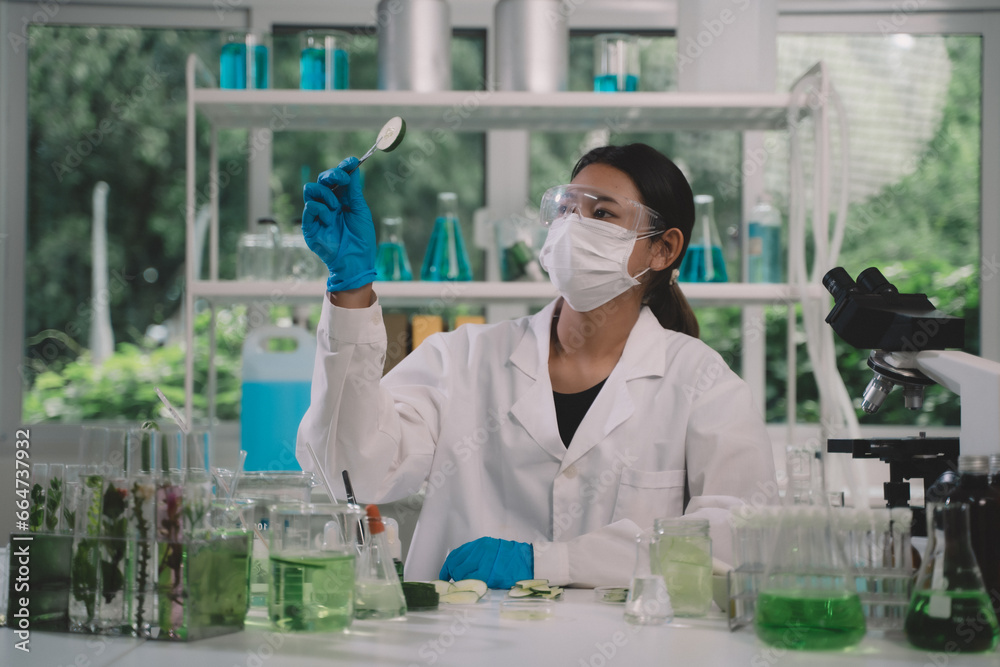 Asian researchers or scientists keeping and looking fresh cucumber samples in green lab for research product skin care cosmetic Asian researchers or scientists keeping and looking fresh cucumber samples in green lab for research product skin care cosmetic