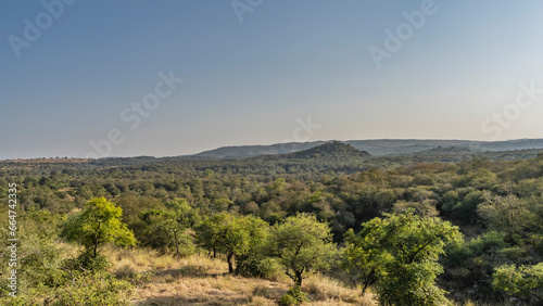 The endless jungle stretches to the horizon. Thickets of green trees. Mountains against a clear blue sky. In the foreground is a clearing with yellowed grass. India. Ranthambore National Park.
