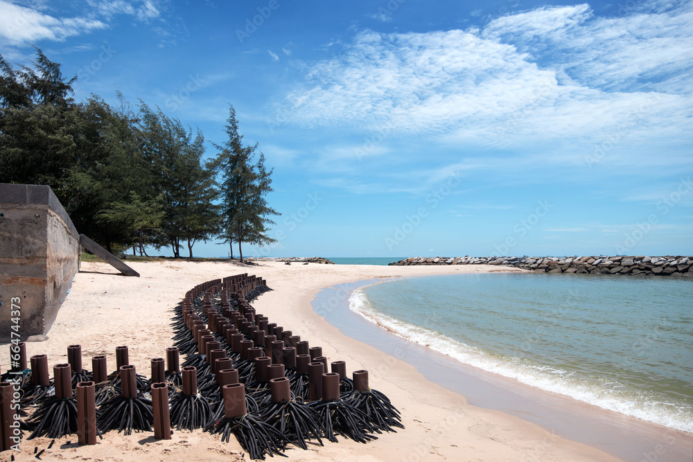 Reinforced artificial tree roots on beach (wave breaker blocks) along