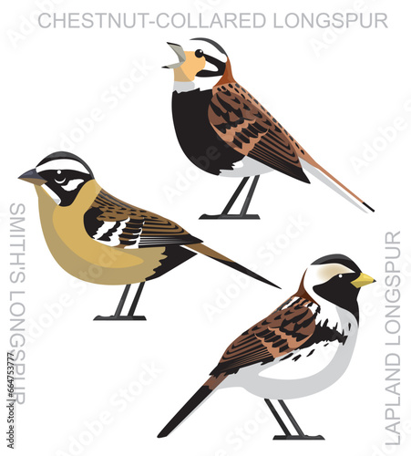 Cute Bird Longspur Set Cartoon Vector