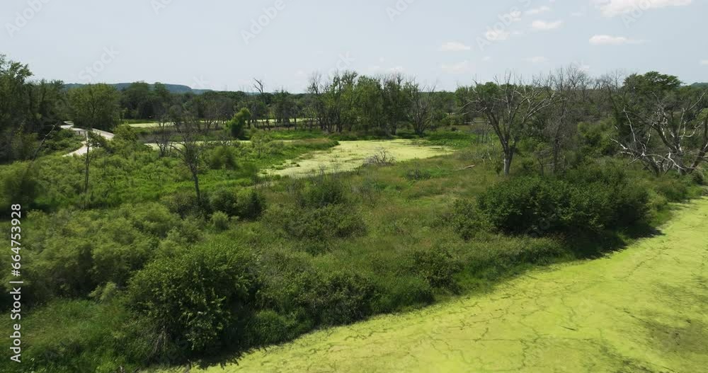 Trempealeau Perrot state park marshland flyover, delicate ecosystem, algae bloom Trempealeau Perrot state park marshland flyover, delicate ecosystem, algae bloom