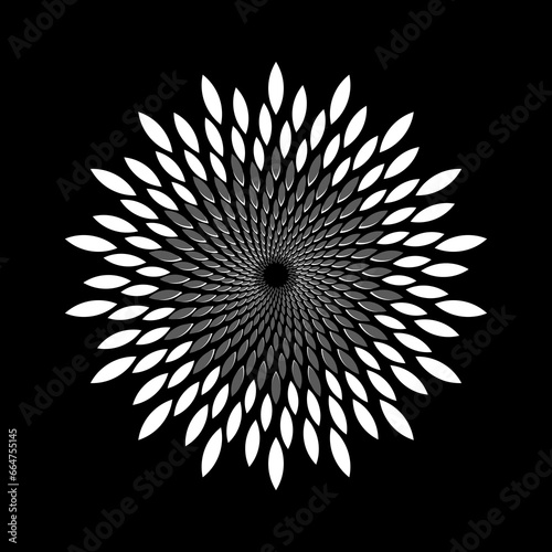 Black and white abstract background with concentric circles. Vector illustration.