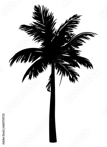 Palm tree silhouette