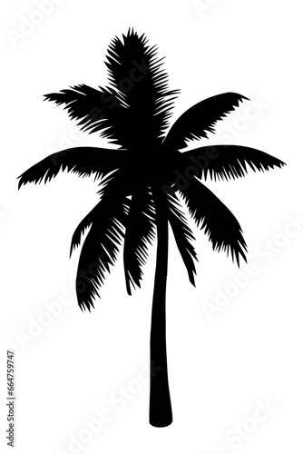 Palm tree silhouette