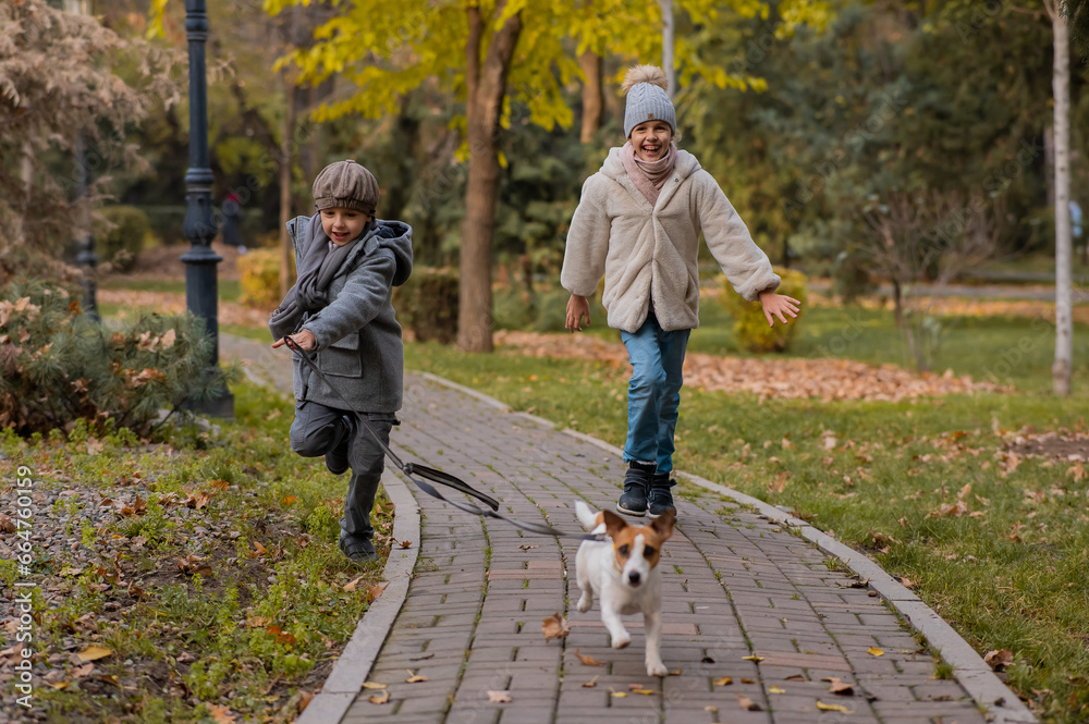 Fototapeta premium Brother and sister walk the dog in the park in autumn. Boy and girl running with jack russell terrier on a leash. 