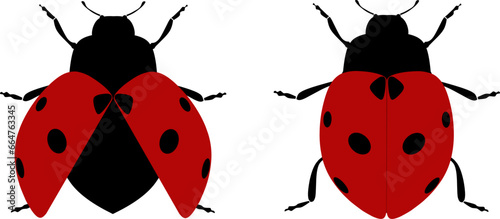 ladybug silhouette and vector ustration design photo
