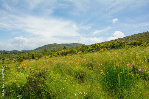 The rural landscape near Dracevica on Brac Island in Croatia in May
