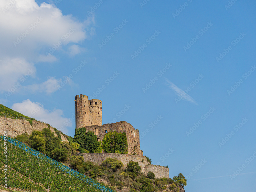 Castle Above Vineyard