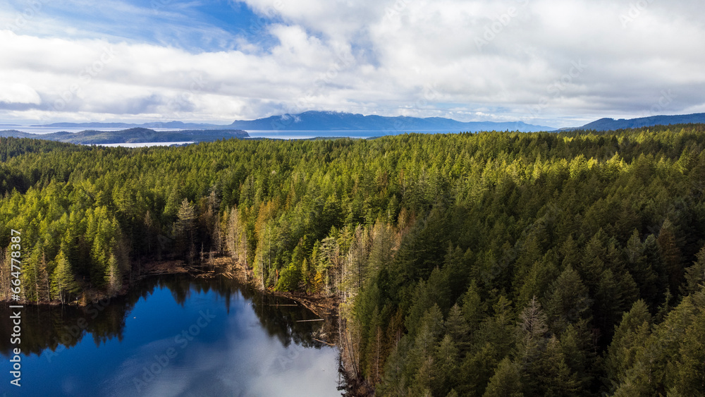 View of Trout Lake and forest. Mountains and islands in the distance. 