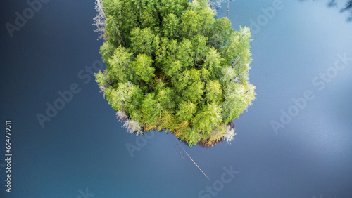 Small forest in the middle of a lake