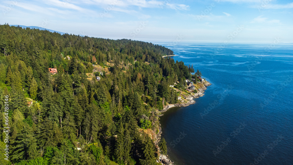 Obraz premium Forest coastline running along Halfmoon Bay. Georgia Straight on a sunny afternoon