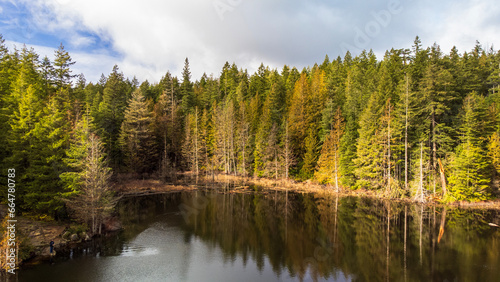 Reflection of trees in water