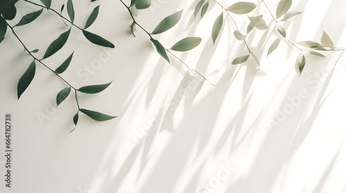 Leaves and plants shadow on the white wall, Spring and summer background