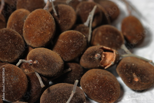 Vector illustration, Dialium cochinchinense or velvet tamarind, isolated on white background.