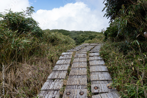 The view between Mt. Miyanoura and Mt. Nagata in Yakushima photo