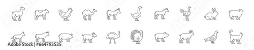 Set of icons with farm animals and birds in linear style. Vector illustration.