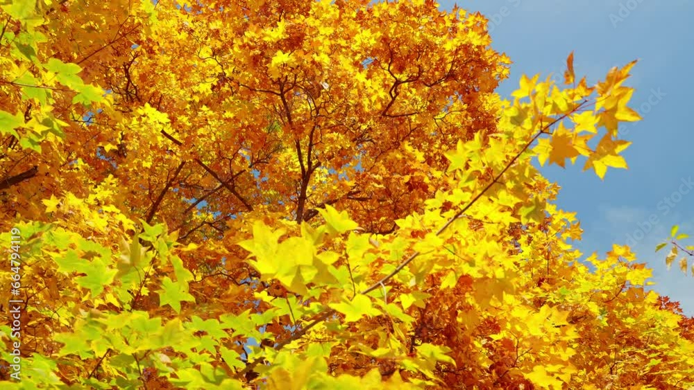 Beautiful autumn landscape against the sky Beautiful autumn landscape against the sky