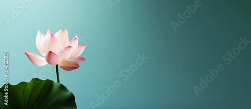 Minimalist lotus flower with copy space.