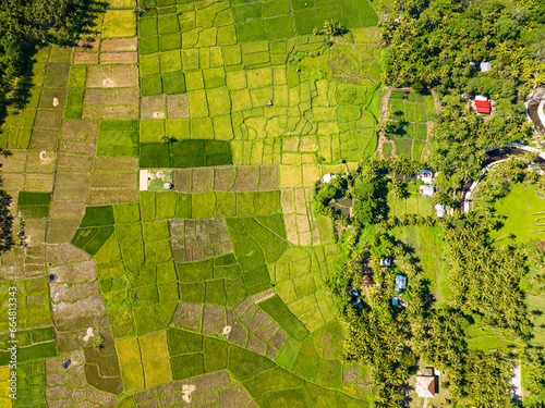 Africultural lanf of rice fields in Camiguin Island. Mindanao, Philippines.