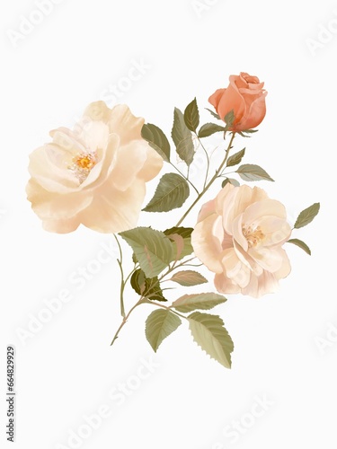 On a white background  a floral bouquet with two cream-colored and one orange rose. Digital watercolor painting. Perfect for various projects and designs.