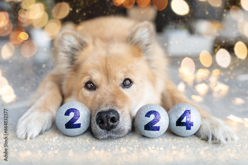 Silvester & Neujahr 2024 mit Hundenase und Kugeln  © nektarinchen