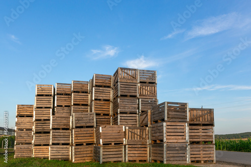 A large number of wooden boxes for picking fruit