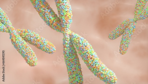 Visualization of a chromosomes, 3d rendering, DNA,  Genetics, illustration (ID: 664841390)
