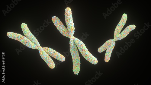 Visualization of a chromosomes, 3d rendering, DNA,  Genetics, illustration (ID: 664841391)