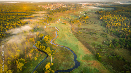 Natural river between the forest - aerial high view