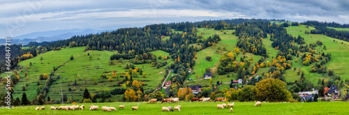 panoramic view of a village in the Carpathian Mountains. Poland
