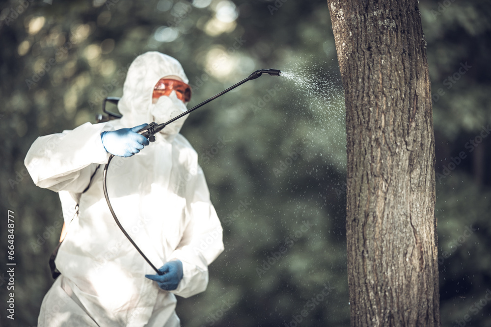 A worker sprays pesticides on trees outdoors. Tree pest control