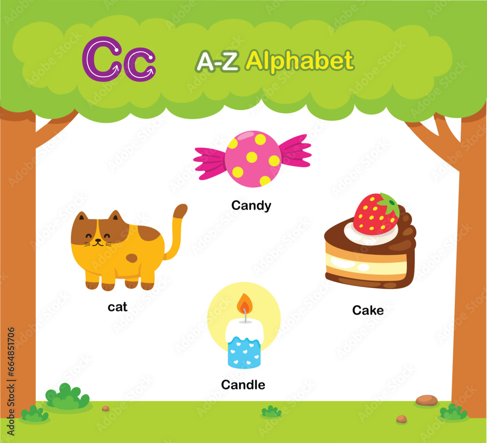 Fototapeta premium Alphabet Letter C education vocabulary illustration vector