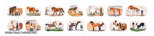 Horse care, treatment and training set. Equestrians with stallions in stables. Workers breeding, cleaning, grooming, feeding equine animals. Flat vector illustrations isolated on white background