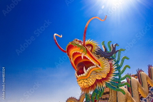 chinese new year dragon