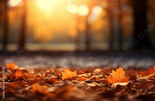 Vibrant autumn landscape with colorful leaves covering the ground. Dew and raindrops create a beautiful texture. Perfect outdoor background for showcasing the beauty of the season.