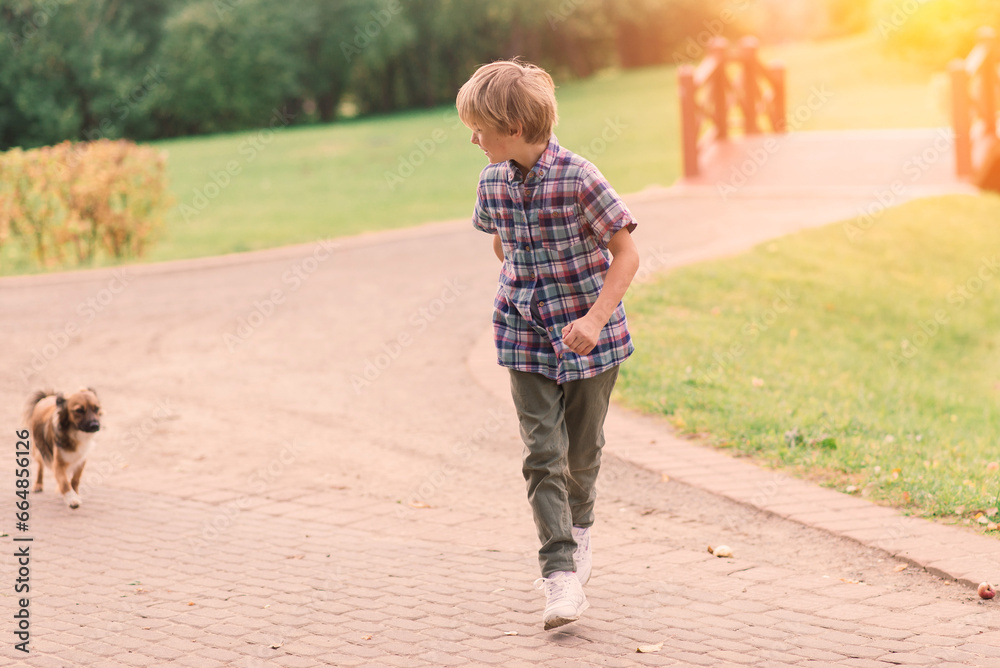 Fototapeta premium Cute boy playing and walking with his dog in a meadow.