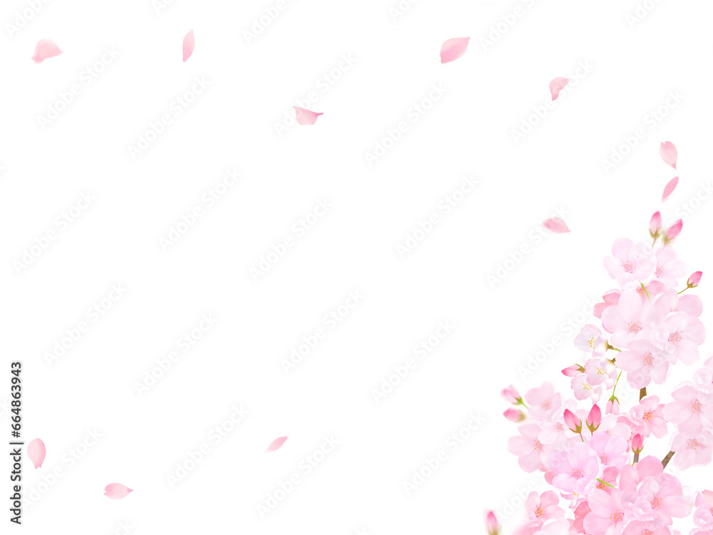 Pink cherry blossom background 