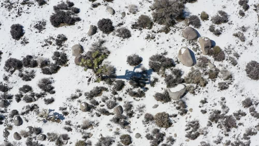 Overhead view of Joshua Trees Park with snow.