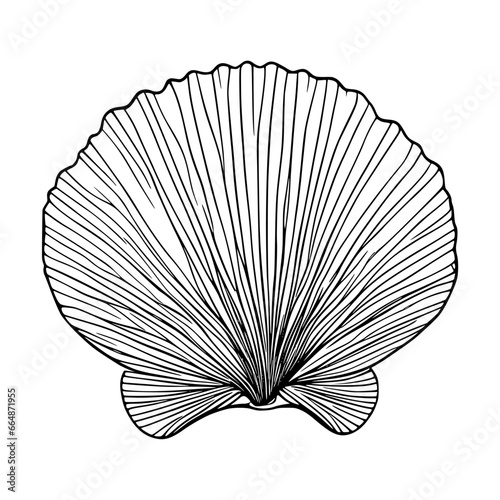 Seashell, clam shell