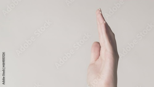 Wallpaper Mural Vertical video. Offering gesture. Open palm. Woman holding copy space in open hand proposing product isolated on gray background. Torontodigital.ca