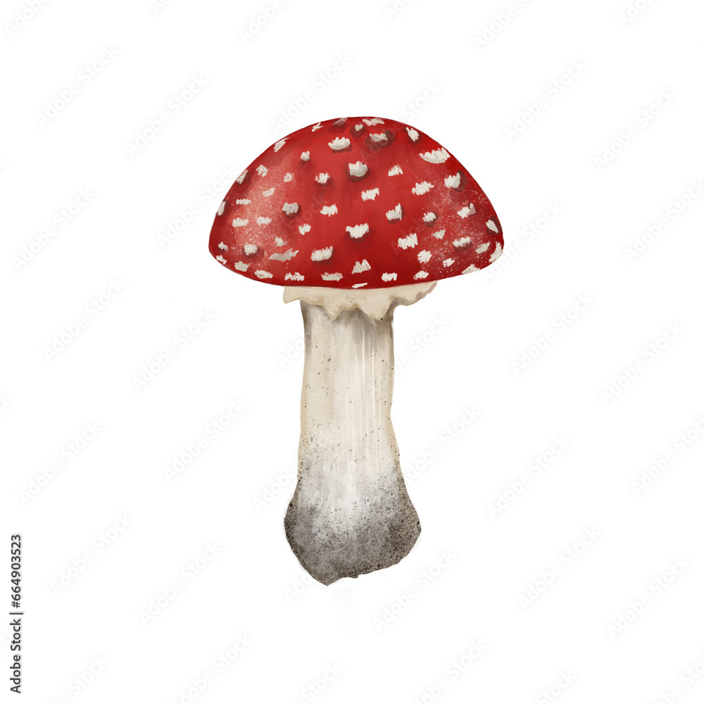 Beautiful illustration of an inedible fly agaric mushroom with a red cap and a white dot on a transparent neutral background Beautiful illustration of an inedible fly agaric mushroom with a red cap and a white dot on a transparent neutral background